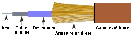 Image de la composition d'une fibre optique