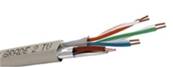 Cable 1x4p grade 2tv ftp -2.2 ghz- lsoh-cca