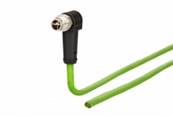 Cordon m12 8 pôles cat 6a m12 mâle coudé/coupe nette 5m