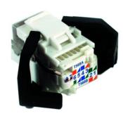 Embase femelle RJ45 Volition Cat. 6 FTP | Corning
