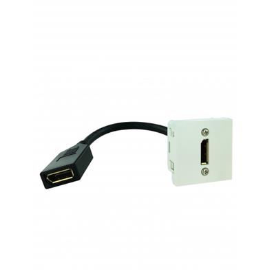 Plastron displayport 1.2 f/f de 0.20m